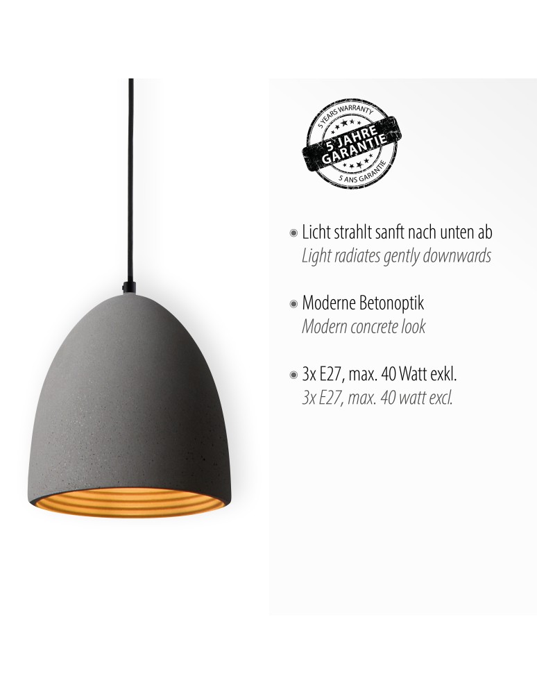 Paul Neuhaus Eton Lampa Wisząca Szary/Czarny 2233-22