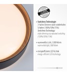 Paul Neuhaus Emilia Lampa Sufitowa Czarny 14347-18