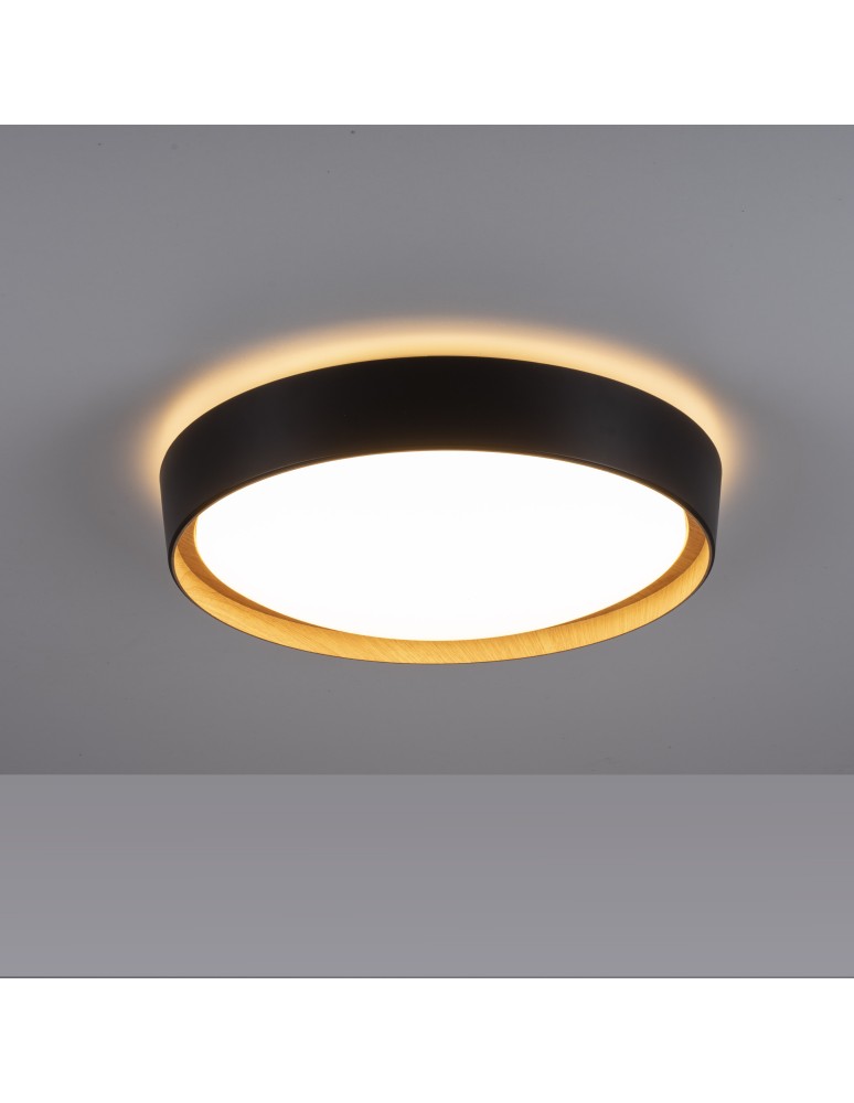 Paul Neuhaus Emilia Lampa Sufitowa Czarny 14347-18