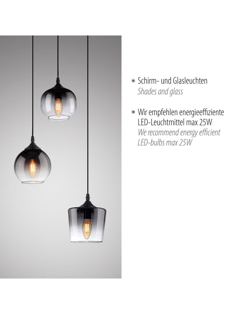 Paul Neuhaus Zea Lampa Wisząca Czarny 15424-18