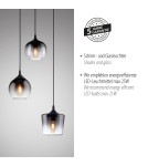 Paul Neuhaus Zea Lampa Wisząca Czarny 15424-18