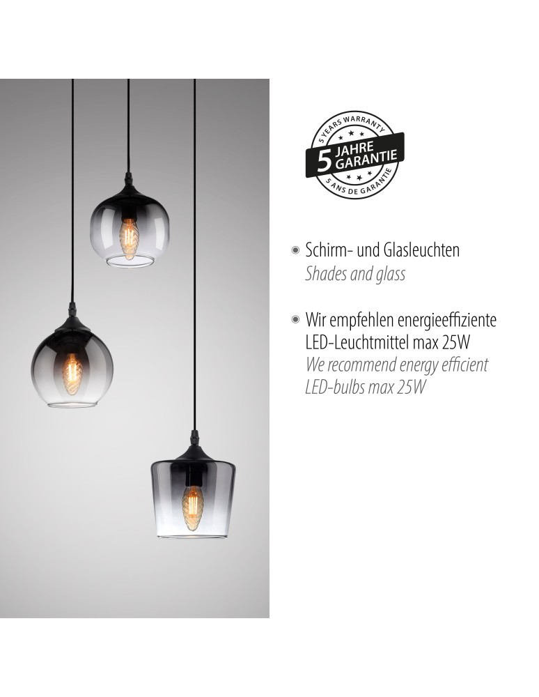 Paul Neuhaus Zea Lampa Wisząca Czarny 15424-18