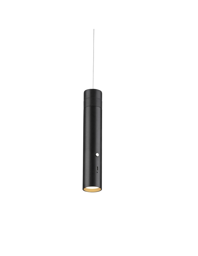 Paul Neuhaus Attach Lampa Wisząca Czarny 18281-18