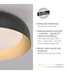 Paul Neuhaus Osko Lampa Sufitowa Czarny/Złoty 14215-18