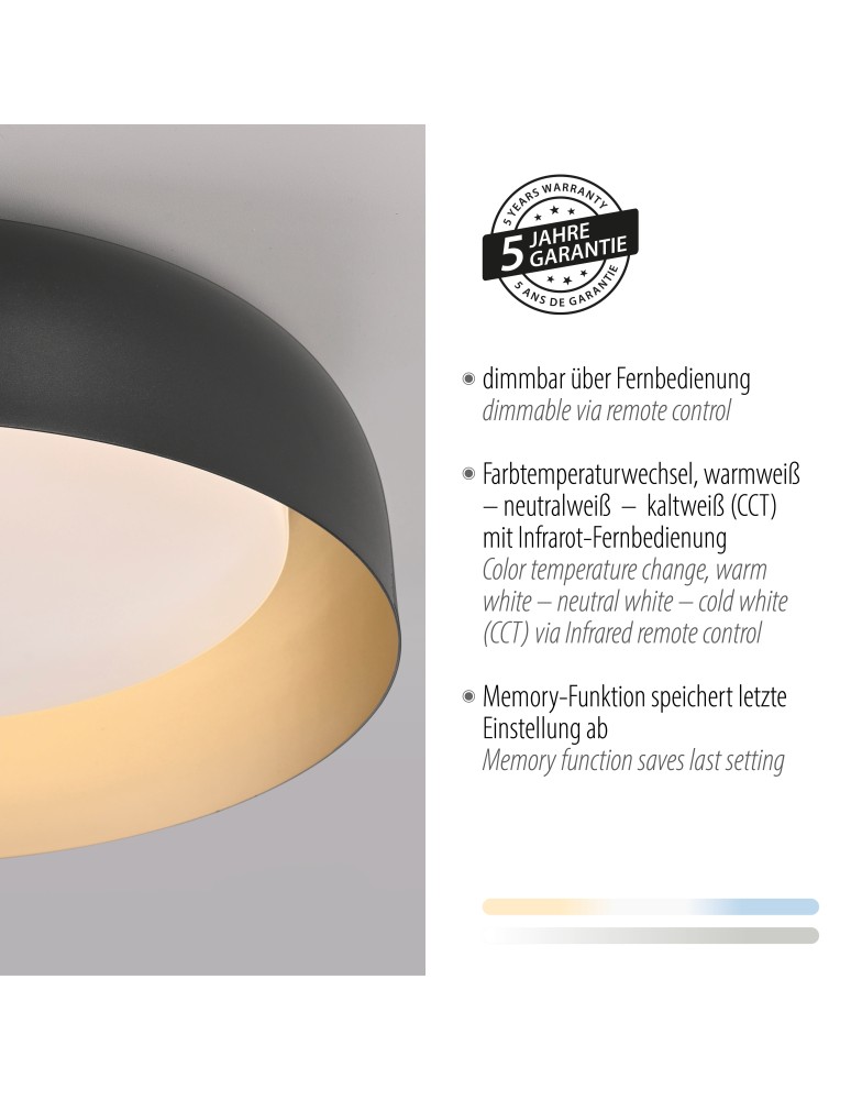 Paul Neuhaus Osko Lampa Sufitowa Czarny/Złoty 14215-18