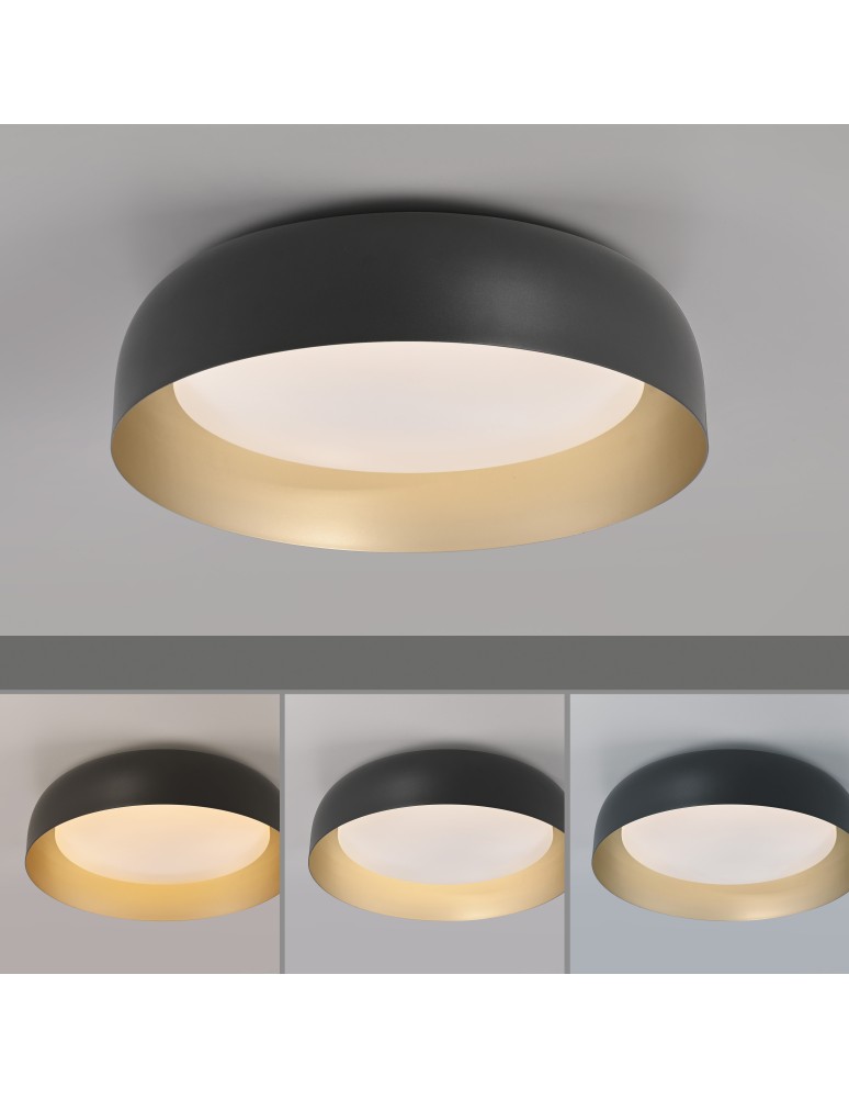 Paul Neuhaus Osko Lampa Sufitowa Czarny/Złoty 14215-18