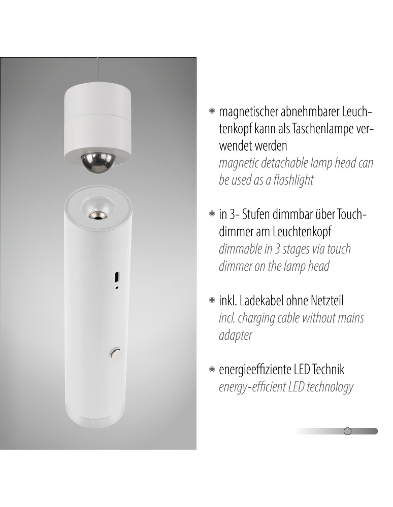 Paul Neuhaus Attach Lampa Wisząca Biały 18281-16