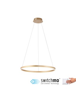 Paul Neuhaus Ritus Lampa Wisząca Matowy Mosiądz 15394-60 - produkt 2