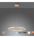 Paul Neuhaus Ritus Lampa Wisząca Matowy Mosiądz 15394-60