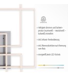 Paul Neuhaus Iven Lampa Sufitowa Stalowy 14151-55