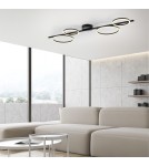 Paul Neuhaus Mini Ritus Lampa Sufitowa Czarny 14211-18