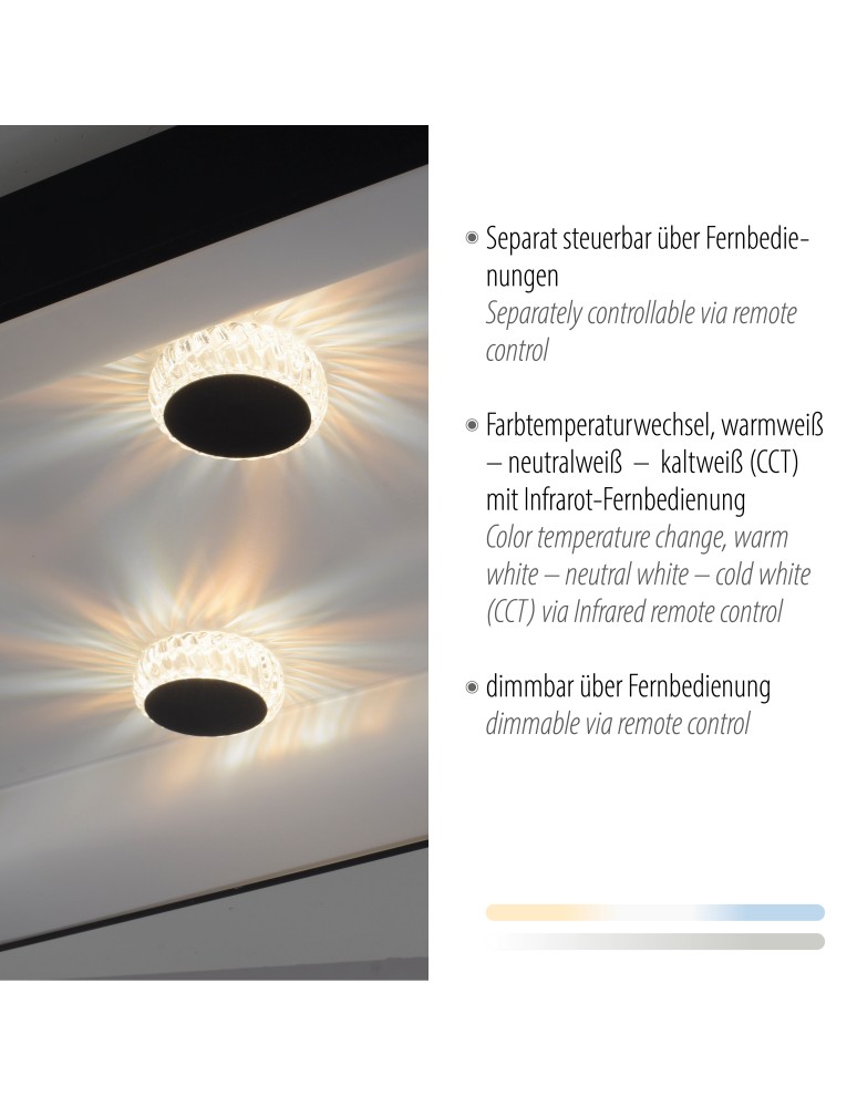 Paul Neuhaus Vertigo Lampa Sufitowa Czarny 14385-18