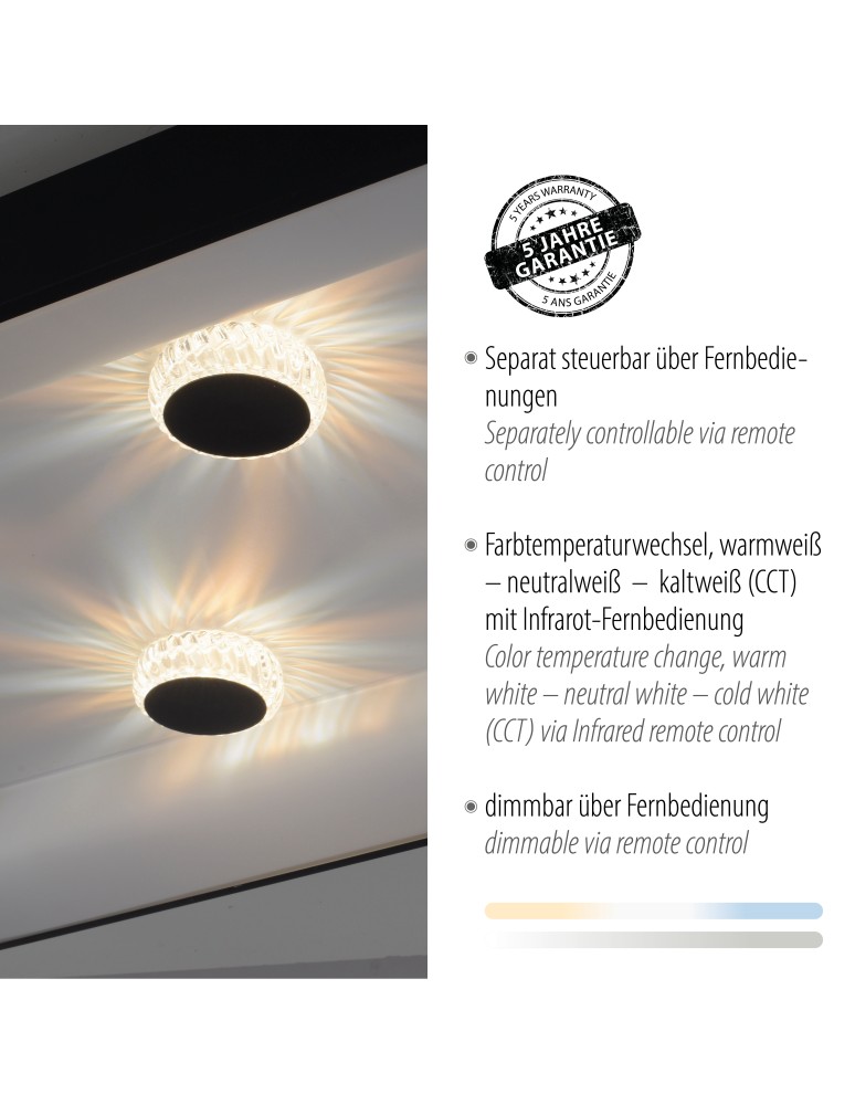 Paul Neuhaus Vertigo Lampa Sufitowa Czarny 14385-18