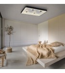 Paul Neuhaus Vertigo Lampa Sufitowa Czarny 14385-18