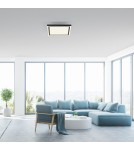 Paul Neuhaus Edging-Smart Lampa Sufitowa Czarny 14450-18