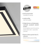 Paul Neuhaus Edging-Smart Lampa Sufitowa Czarny 14450-18