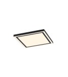Paul Neuhaus Edging-Smart Lampa Sufitowa Czarny 14450-18