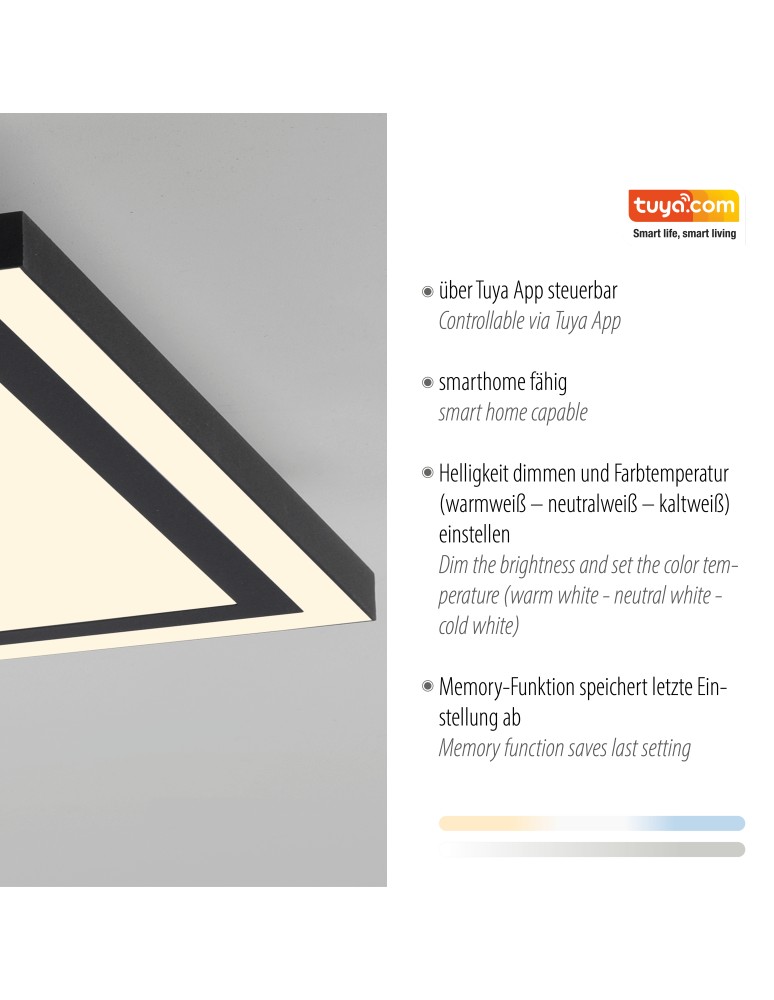 Paul Neuhaus Edging-Smart Lampa Sufitowa Czarny 14451-18