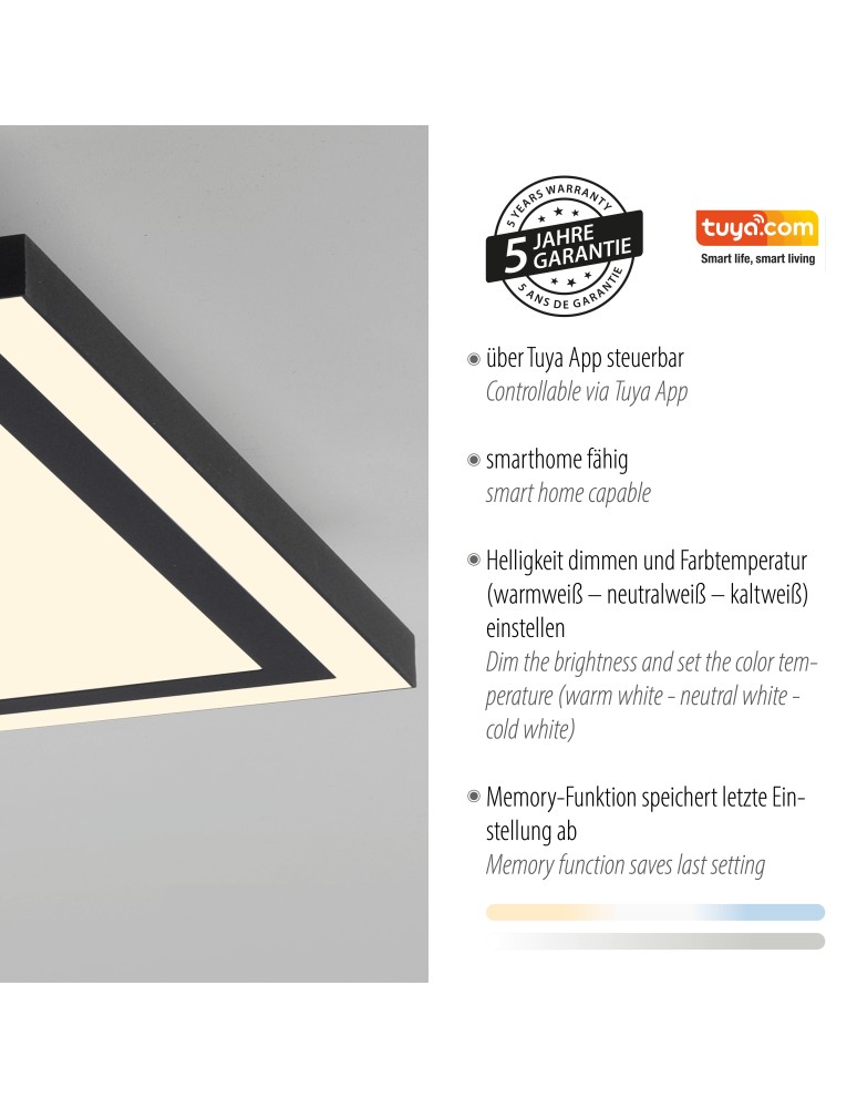Paul Neuhaus Edging-Smart Lampa Sufitowa Czarny 14451-18
