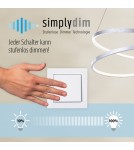 Paul Neuhaus Ivanka Lampa Sufitowa Stalowy 14539-55