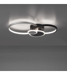 Paul Neuhaus Papilon Lampa Sufitowa Czarny/Aluminium 14548-18