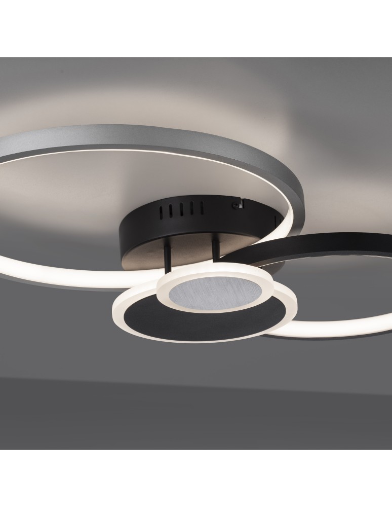 Paul Neuhaus Papilon Lampa Sufitowa Czarny/Aluminium 14548-18