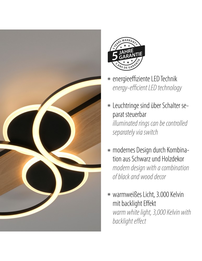 Paul Neuhaus Trooper Lampa Sufitowa Czarny/Drewno 14552-18