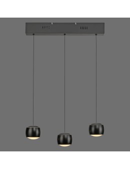 Paul Neuhaus Ballini Lampa Wisząca Czarny 15261-18