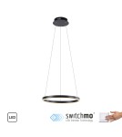 Paul Neuhaus Ritus Lampa Wisząca Antracyt 15393-13
