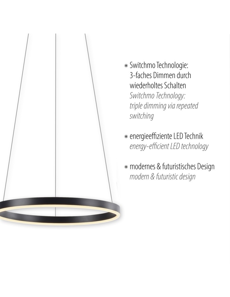 Paul Neuhaus Ritus Lampa Wisząca Antracyt 15393-13