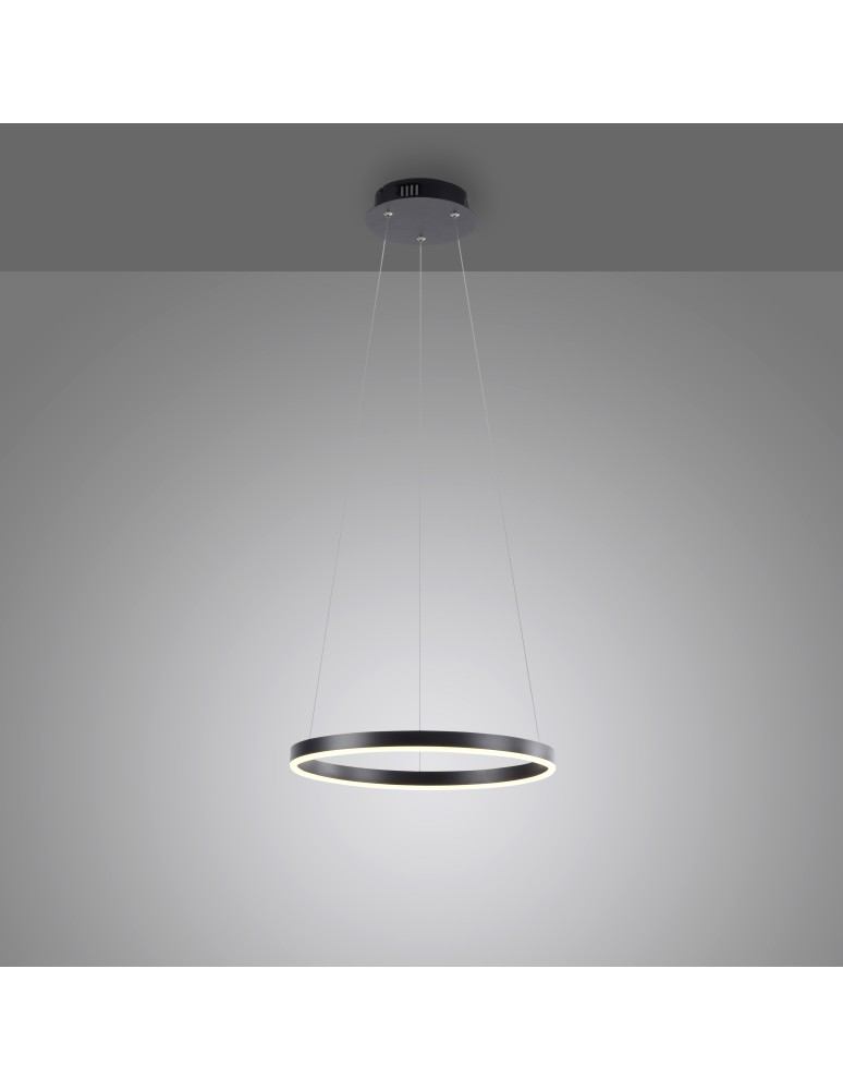 Paul Neuhaus Ritus Lampa Wisząca Antracyt 15393-13