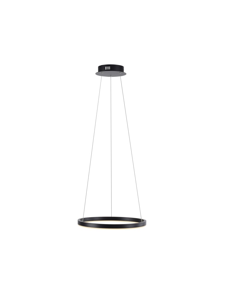 Paul Neuhaus Ritus Lampa Wisząca Antracyt 15393-13