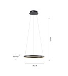 Paul Neuhaus Ritus Lampa Wisząca Antracyt 15393-13