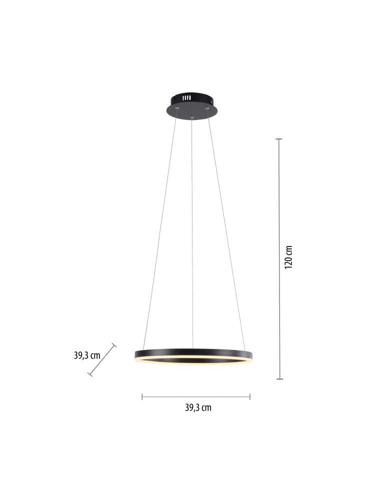 Paul Neuhaus Ritus Lampa Wisząca Antracyt 15393-13
