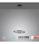 Paul Neuhaus Ritus Lampa Wisząca Antracyt 15393-13