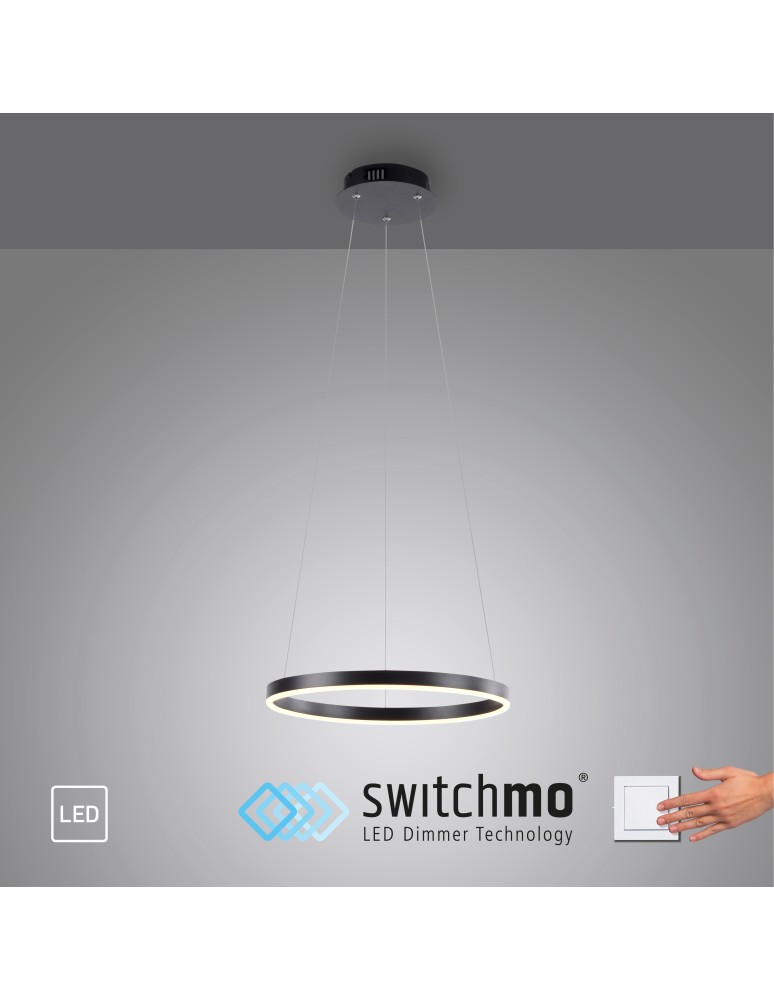 Paul Neuhaus Ritus Lampa Wisząca Antracyt 15393-13