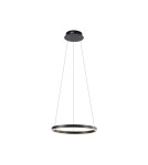 Paul Neuhaus Ritus Lampa Wisząca Antracyt 15393-13