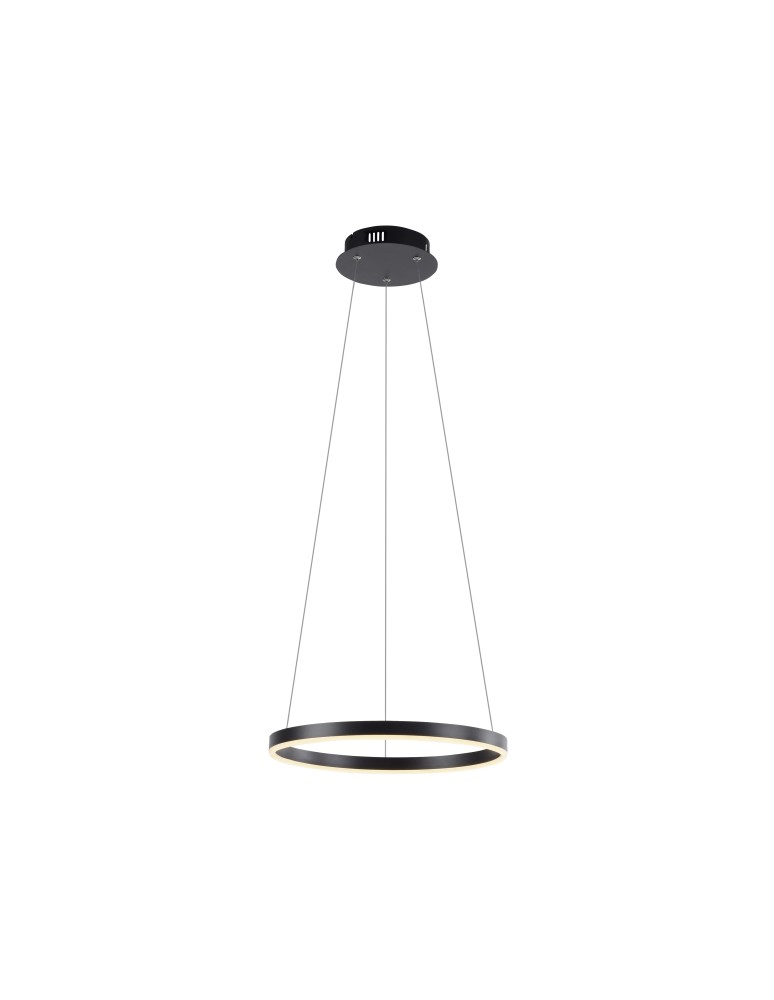 Paul Neuhaus Ritus Lampa Wisząca Antracyt 15393-13
