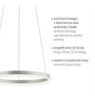 Paul Neuhaus Ritus Lampa Wisząca Aluminium 15393-95