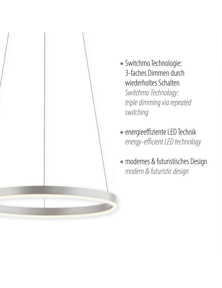 Paul Neuhaus Ritus Lampa Wisząca Aluminium 15393-95