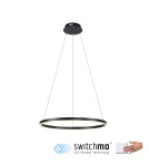 Paul Neuhaus Ritus Lampa Wisząca Antracyt 15394-13