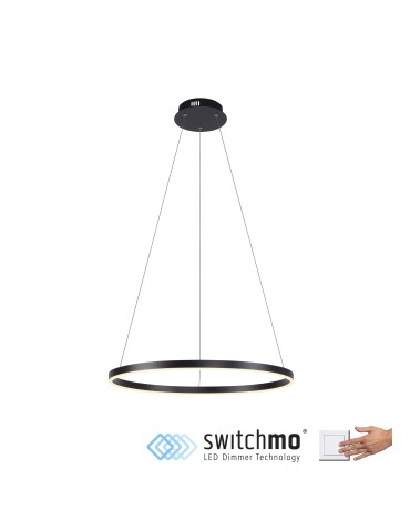 Paul Neuhaus Ritus Lampa Wisząca Antracyt 15394-13 - produkt 2