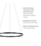 Paul Neuhaus Ritus Lampa Wisząca Antracyt 15394-13