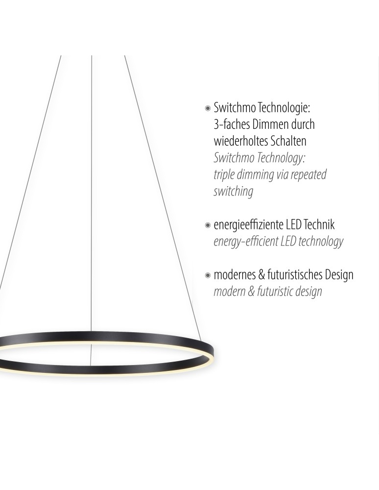 Paul Neuhaus Ritus Lampa Wisząca Antracyt 15394-13