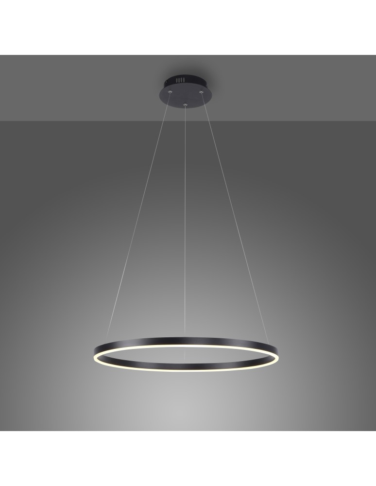 Paul Neuhaus Ritus Lampa Wisząca Antracyt 15394-13