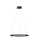 Paul Neuhaus Ritus Lampa Wisząca Antracyt 15394-13