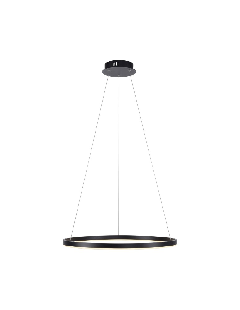 Paul Neuhaus Ritus Lampa Wisząca Antracyt 15394-13