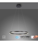 Paul Neuhaus Ritus Lampa Wisząca Antracyt 15394-13