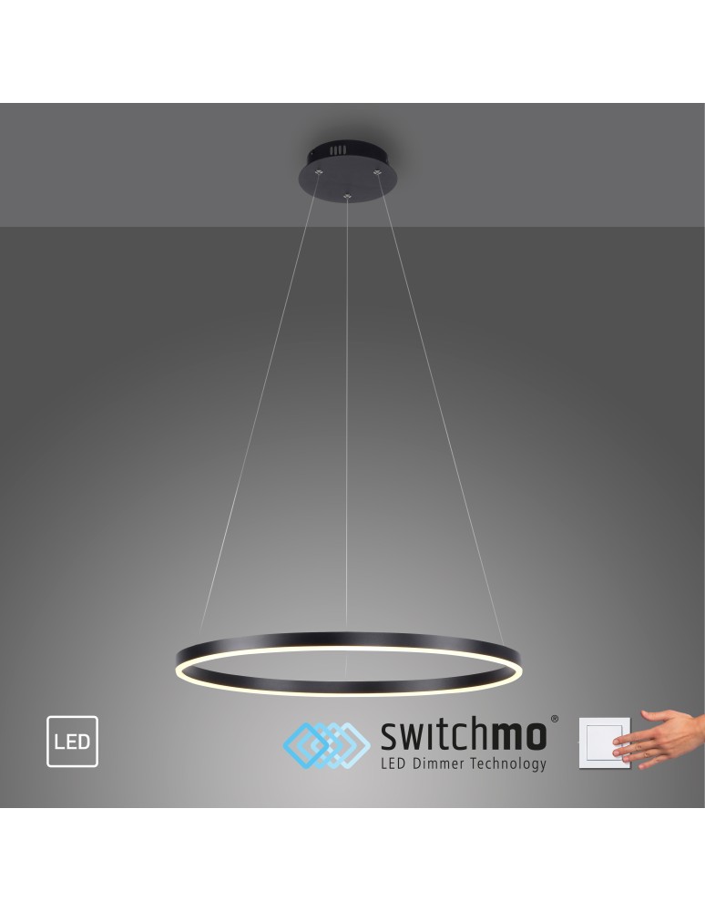 Paul Neuhaus Ritus Lampa Wisząca Antracyt 15394-13