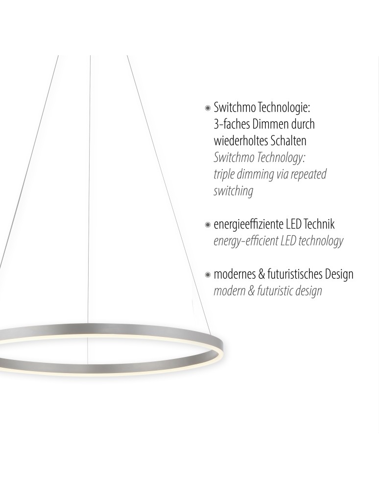 Paul Neuhaus Ritus Lampa Wisząca Aluminium 15394-95